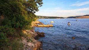 Mali DolにあるHoliday House Milaの橋を背景に大量の水