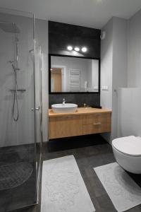 a bathroom with a sink and a toilet and a mirror at Apartament Miodowy - Penthouse z balkonem in Kudowa-Zdrój