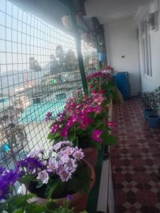 Bazén v ubytování Beverly Hills Home stay nebo v jeho okolí