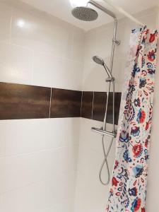 a shower in a bathroom with a shower curtain at Ô meublé de Pithiviers F2 4 personnes in Pithiviers
