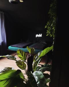 Χώρος καθιστικού στο Erwachsenenhotel BDSM Apartment Hotel Emotion Apartments mit privater Sauna