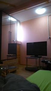 TV a/nebo společenská místnost v ubytování DoctorGoderdzi's