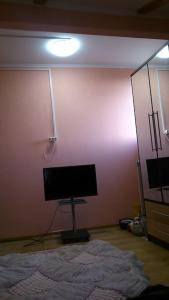 TV a/nebo společenská místnost v ubytování DoctorGoderdzi's