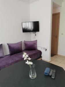 TV a/nebo společenská místnost v ubytování Appartement F3 en location d'été