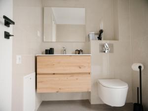 a bathroom with a toilet and a sink and a mirror at DoubleS Maison 1 in Cluj-Napoca +23 photos