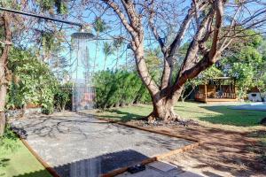 Zahrada ubytování Villa l'Almendro - La Saline les Bains + 22 fotografií