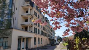 Budova, kde se apartmán nachází