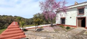 a house with a red roof and a tree at Casa Rural Cortijo Torres in La Parra