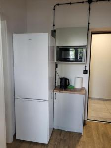 a kitchen with a white refrigerator and a microwave at Axo-Hostel 9 in Stalowa Wola