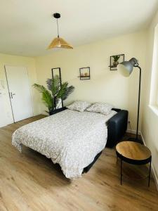 a bedroom with a large bed and a lamp at Verrières 3 in Issoire +3 photos