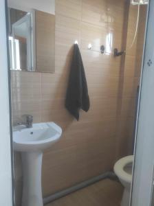 a bathroom with a sink and a shower with a toilet at Navy Sky View - Garsoniera confort I in Tulcea