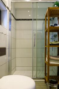 een douche met een glazen deur in een badkamer bij Glück Auf Ferienhäuser Winterberg in Winterberg