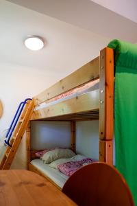 een stapelbed in een kamer met een ladder bij Glück Auf Ferienhäuser Winterberg in Winterberg