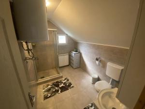a bathroom with a shower and a toilet and a sink at Holiday Home Ciara in Kolašin +45 photos