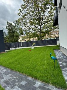 Afbeelding uit fotogalerij van Casa de vacanta Cris 2 in Băile Olăneşti