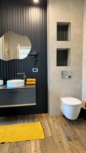 a bathroom with a sink and a toilet and a mirror at Casa de vacanta Cris 2 in Băile Olăneşti +22 photos