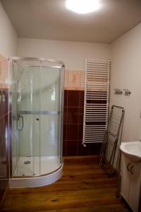 a bathroom with a glass shower and a sink at RestHouse - wakacyjny dom nad jeziorem in Wądzyn