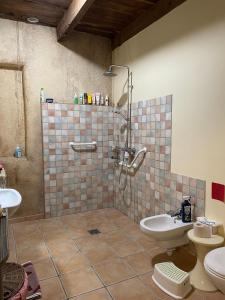 a bathroom with a shower and a toilet and a sink at L'Adventice in Riec-sur-Bélon
