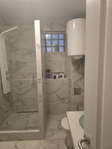a bathroom with a shower and a toilet and a window at Amelie & Sea - Ground Floor Penthouse with 2 Terraces, Green Views, Sleeps 9 in Vir +55 photos