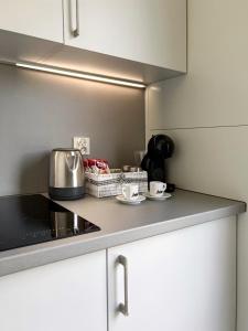 Kuchyň nebo kuchyňský kout v ubytování TINY HOUSE mezi sklepy