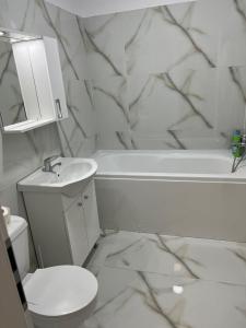 a bathroom with a toilet and a sink and a bath tub at Pollux Residence Militari ap 113 in Dudu