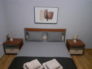 a bedroom with a large bed with two night stands at GUSTO Apartment 2 in Orestiada