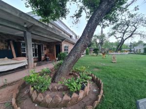 un árbol en un lecho de flores al lado de una casa en RMK Resort en Murree