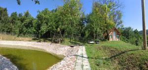 Priroda u blizini kampa