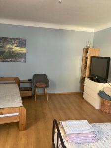 salon z telewizorem, łóżkiem i krzesłem w obiekcie Apartman Centrum w Jiczynie
