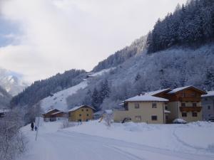 Alpenecho durante l'inverno