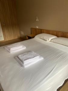 Postel nebo postele na pokoji v ubytování Ampio bilocale Bormio centro