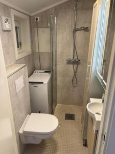 a small bathroom with a toilet and a shower at Lite hus 15 min fra Oslo in Høvik