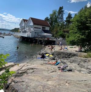a group of people on a beach near the water at Lite hus 15 min fra Oslo in Høvik +8 photos