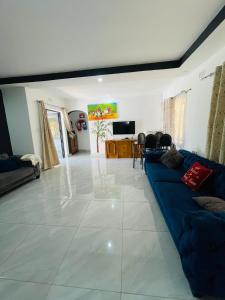 a living room with a blue couch and a tv at The Extension in Umtali