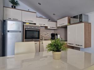 Kuchyň nebo kuchyňský kout v ubytování Adria apartmani