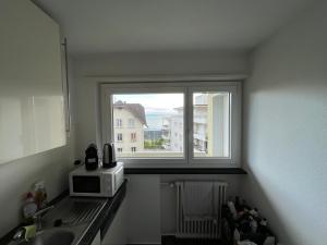 Η κουζίνα ή μικρή κουζίνα στο Ferienwohnung am Bodensee