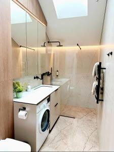 a bathroom with a washing machine and a sink at LEX apartments in Palanga