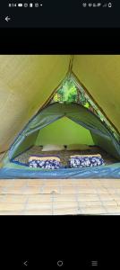 Gallery image of Hospedaje Pance Arí Munani Reserva Natural in Cali