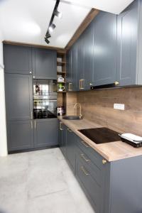 a kitchen with blue cabinets and a sink at Venima City Center Apartment in Tivat