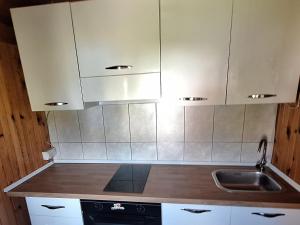 Eldhús eða eldhúskrókur á Chalet Hill Zabljak