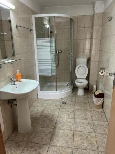 a bathroom with a shower and a sink and a toilet at Pensiunea BUJOR DE MUNTE in Voineasa
