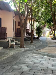 a patio with trees and benches and a building at Ánh Trăng Homestay in Ấp Thiện Phước +11 photos