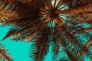 Fotografie z fotogalerie ubytování Aiolos Suite v destinaci Sitia