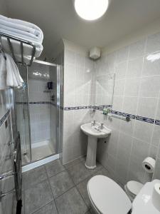 a bathroom with a toilet and a shower and a sink at An Cruiscin Lan in Spiddal