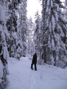 una persona caminando por un bosque cubierto de nieve en Menninkäinen Cottage, en Rutalahti
