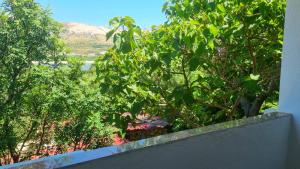 Gallery image of Apartments Šešo in Pag