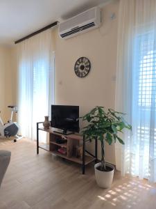 a living room with a television and a potted plant at Apartment Marea in Tivat