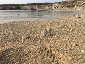 Afbeelding uit fotogalerij van Casa vacanze Villa Raffaela in Favignana