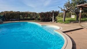 une grande piscine bleue à côté d'une terrasse en bois dans l'établissement Villa A Sulana, à Canale-di-Verde