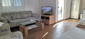 TV a/nebo společenská místnost v ubytování Apartments Bajceta
